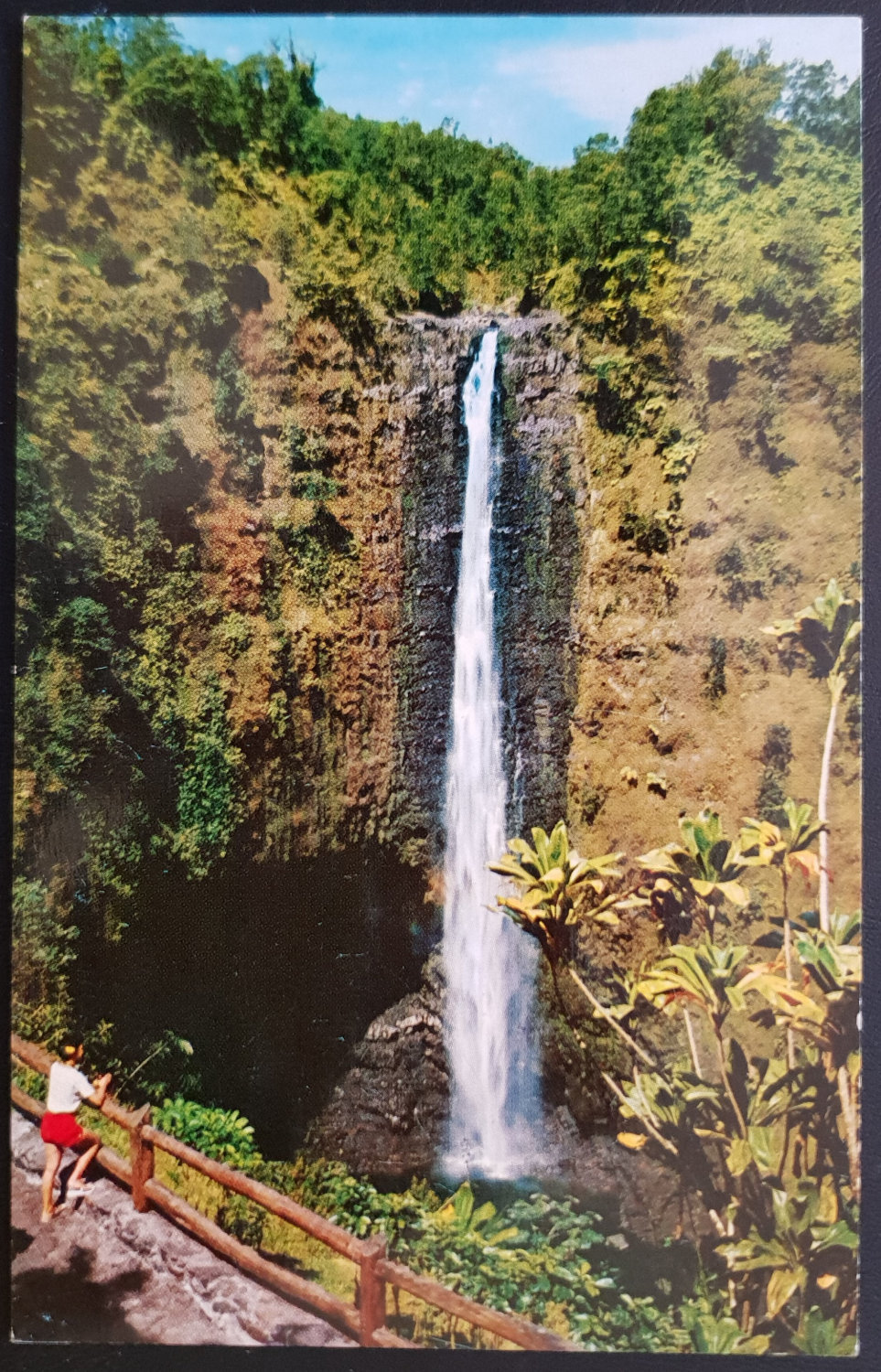 (image for) postcard USA - HI - Hawaii #0001